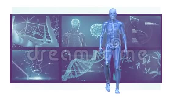 3D人体模型行走人背景扫描屏幕动画视频的预览图