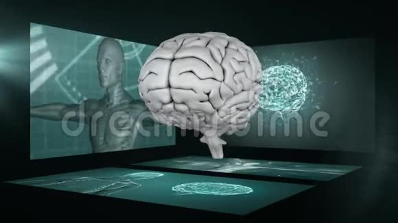 利用背景中的科学家屏幕旋转三维人脑视频的预览图