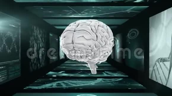 3D大脑在科学屏幕走廊中旋转的动画视频的预览图