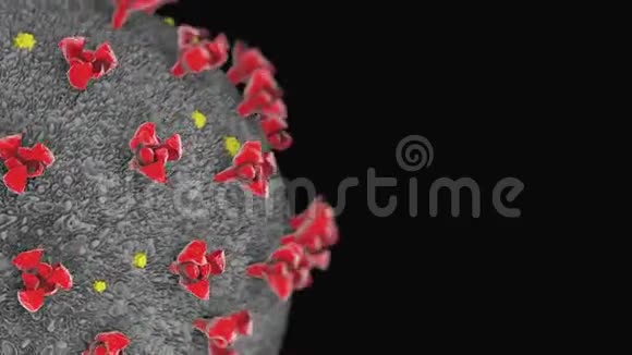 冠状病毒SARSCOV22019nCOV视频的预览图