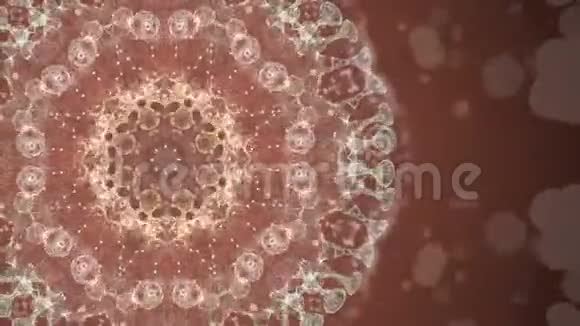 人体内的微生物和细菌在旋转和分裂视频的预览图