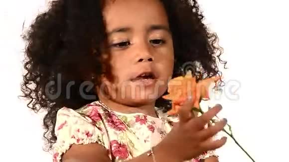 一个巴西孩子和一朵玫瑰视频的预览图