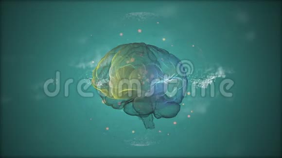 知识产权概念在绿色的保护球体内的金色波克粒子之间漂浮着有活力的大脑视频的预览图