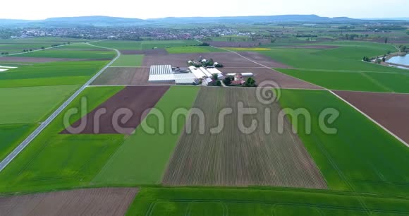 草莓田映衬着大片的热复合体飞越农业区视频的预览图