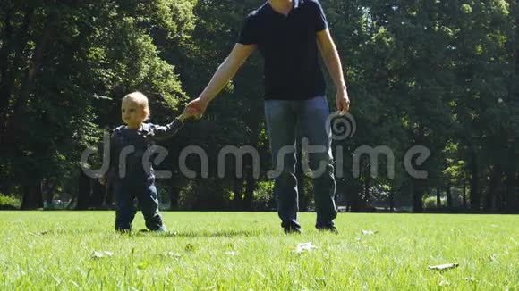 父亲和儿子在夏天公园散步视频的预览图
