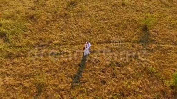 有爱心的一对夫妇在野外享受大自然的生活性感的年轻夫妇在背景草地上相爱Aerutazh视频的预览图