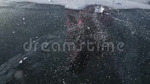人在冰上撒雪慢动作雪粒美丽地散落在冰上手套里的人视频的预览图
