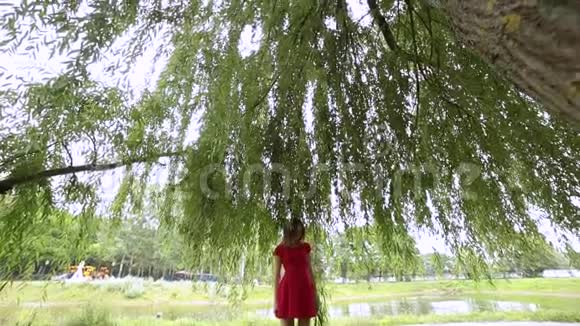 一个非常漂亮的女孩轻轻地抚摸着树的叶子视频的预览图