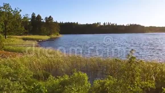 美丽的日落森林湖景美丽的夏日背景欧洲视频的预览图