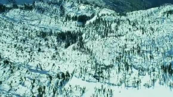 白雪皑皑的森林倾斜到山上的阳光下视频的预览图