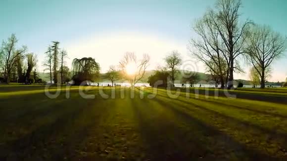 夕阳树的剪影美丽的魔术小时光空中飞行视频的预览图