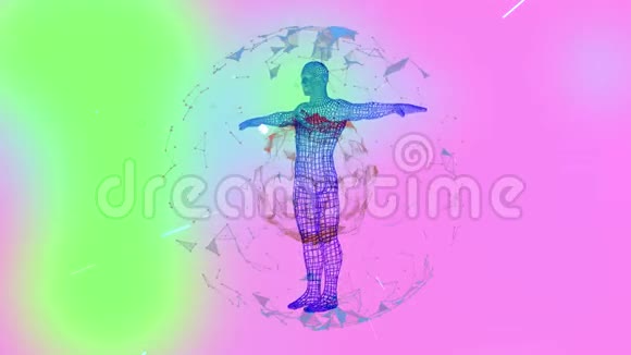 线性粒子在粉红色和绿色背景上的丛球内旋转的人全息线框模型视频的预览图