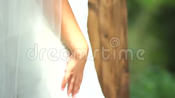 快乐新娘的肖像一位戴着面纱的美丽新娘正拿着一束花背景是视频的预览图