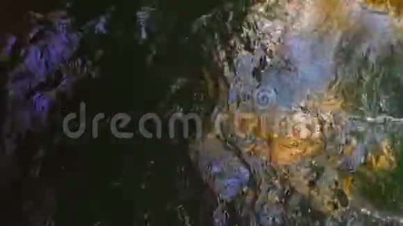 海水中光线的反射视频的预览图