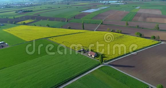 农业欧洲农业五颜六色的黄田五颜六色的农民田视频的预览图