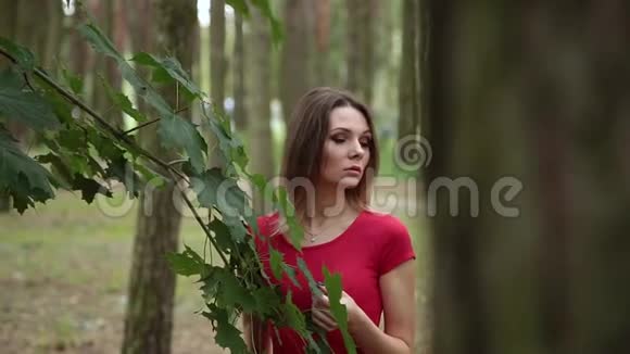 一个非常漂亮的女孩轻轻地抚摸着树的叶子视频的预览图