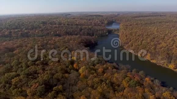 从山顶到秋天的森林和河流的景色视频的预览图