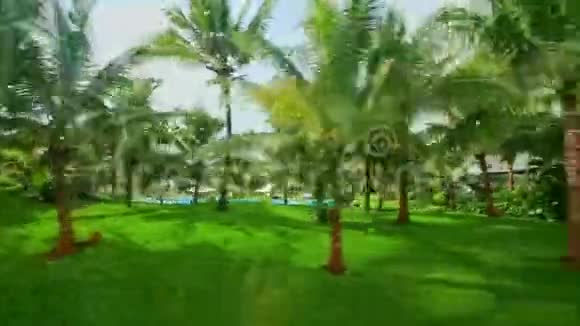 在明亮的阳光下靠近大型酒店的近景棕榈公园视频的预览图