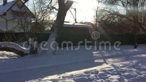 阳光明媚的雪乡视频的预览图