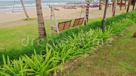 带草和秋千的公园海边沙滩视频的预览图