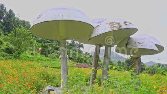 绿草草甸上像蘑菇的装饰伞视频的预览图