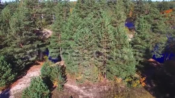鸟瞰美丽的秋河和森林视频的预览图