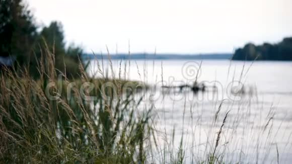 湖和北方的绿草空中观景俄罗斯的风景在野外的晴天旅行概念视频的预览图