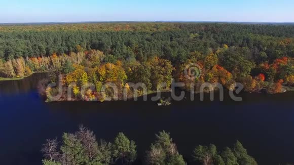 鸟瞰美丽的秋河和森林视频的预览图