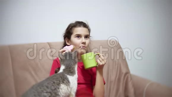 少女吃三明治喝茶看电视女孩吃三明治猫想吃东西视频的预览图