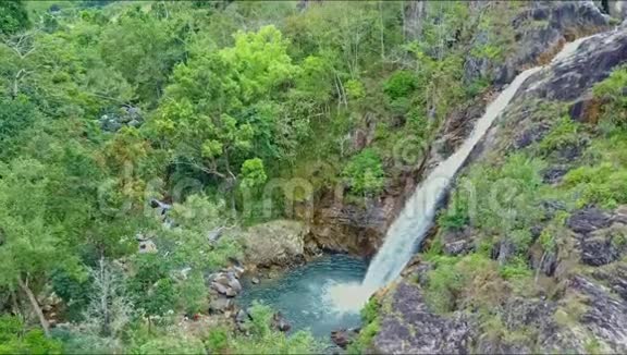 森林中的瀑布河在高地上飞舞视频的预览图