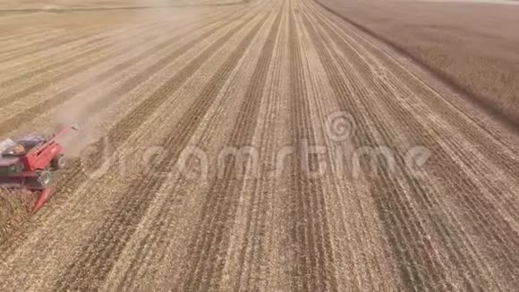 神奇的4k空中射击大型农业机械卡车联合车辆从农田收获有机小麦作物视频的预览图