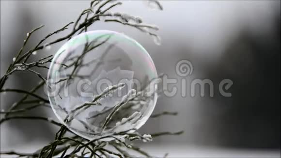 漂亮的肥皂泡冷冻视频的预览图