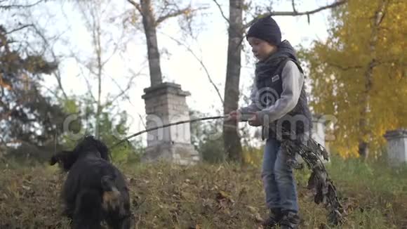 秋天的森林里有一个男孩和他的狗黑斯皮尔视频的预览图