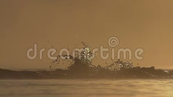 夕阳西下壮汉在湖中游蝶视频的预览图