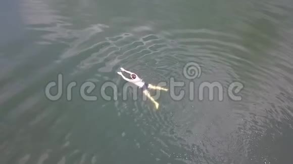 游泳青年湖无人驾驶飞机俯视图视频的预览图