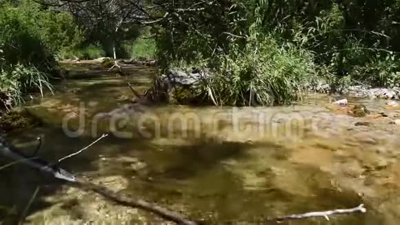 意大利瓦列皮埃特拉蒙蒂辛布鲁尼公园的小河视频的预览图