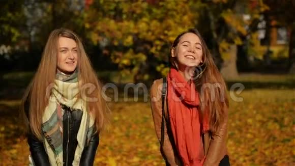 美丽的少女在辗转黄叶两个欢笑的少女在秋天拥抱视频的预览图