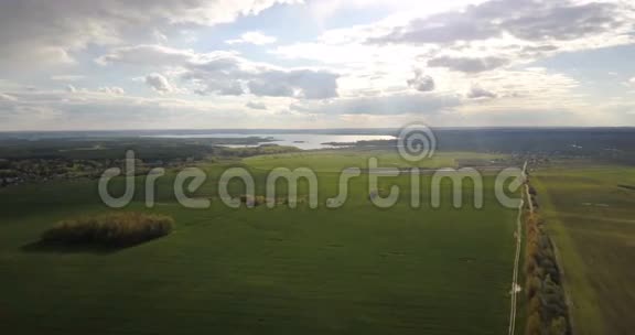无人机飞过美丽的绿色草地背景是湖鸟瞰乡村景观视频的预览图
