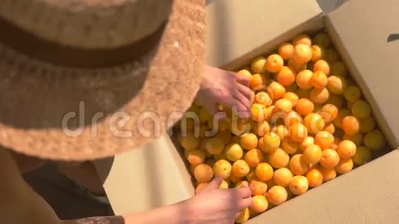 女人的手触摸水果视频的预览图