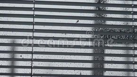 雨点落在玻璃上窗户关上了玻璃上的百叶窗视频的预览图