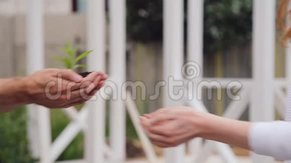 男人的手把一个带着一把泥土的芽递到年轻女人的手中视频的预览图