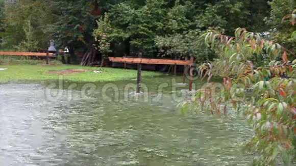 洪水期间花园的水景视频的预览图