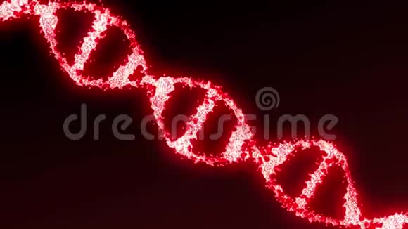 红色DNA分子模型概念循环三维动画视频的预览图