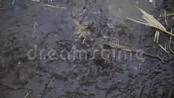 夏天的雨滴落在水坑里从浪花中抬起喷泉视频的预览图
