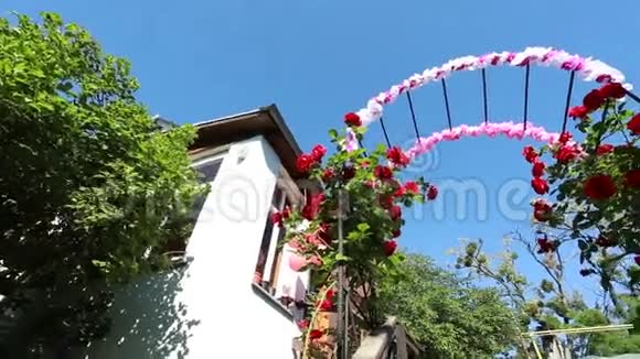 玫瑰拱门在花园里视频的预览图