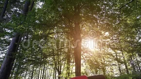 阳光冲破湖岸松树特里格拉夫国家公园斯洛文尼亚欧洲视频的预览图