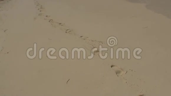 马尔代夫海岸沙滩上一个人的脚印视频的预览图