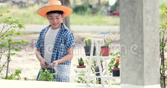 年轻的亚洲泰国男孩在花园的黑土上的小幼苗上浇水地球日的概念视频的预览图