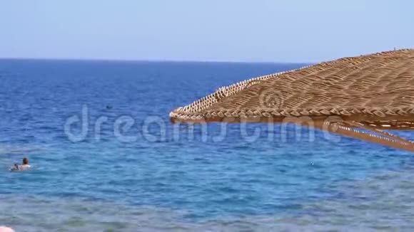 太阳伞在埃及的珊瑚海滩上的红海视频的预览图