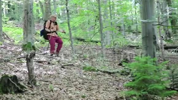 带着登山杖从山上下来的人视频的预览图